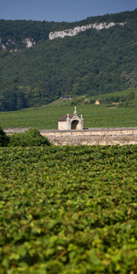 Moulin de la Serrée - Gîte de charme à Nuits-Saint-Georges