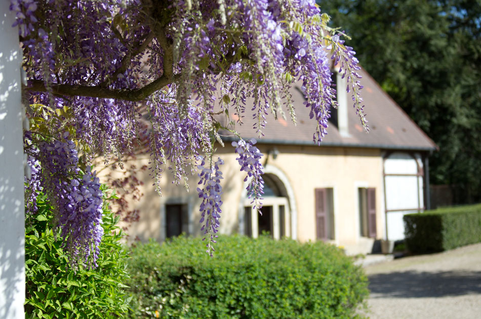 Moulin de la Serrée, gîte de charme à Nuits-Saint-Georges, Bourgogne