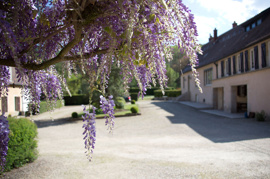 Moulin de la Serrée, gîte de charme à Nuits-Saint-Georges, Bourgogne