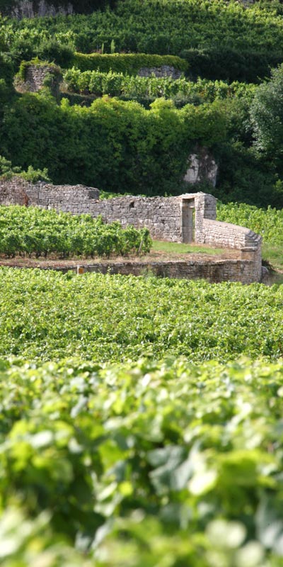 Nuits-Saint-Georges - Moulin de la Serrée - armellephotographe.com