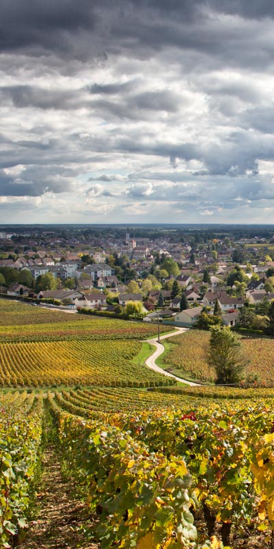 Nuits-Saint-Georges - Moulin de la Serrée - armellephotographe.com