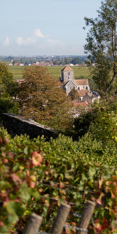 Nuits-Saint-Georges - Moulin de la Serrée - armellephotographe.com