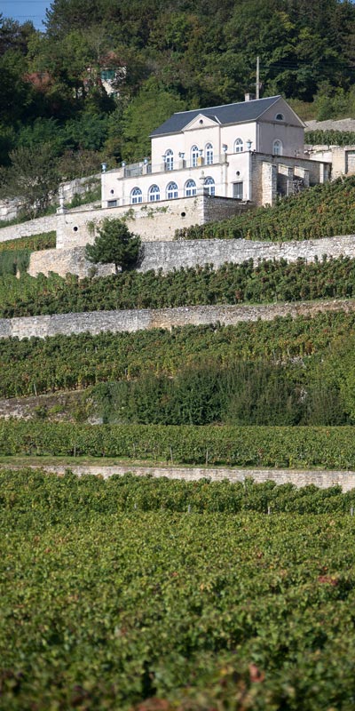 Nuits-Saint-Georges - Moulin de la Serrée - armellephotographe.com